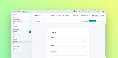 monday.com CRM custom lead entry form