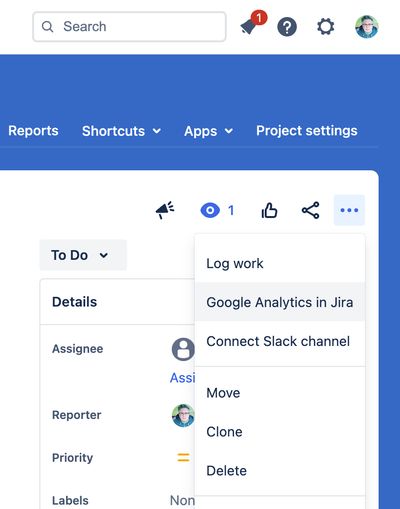 Issue Analytics screen detail