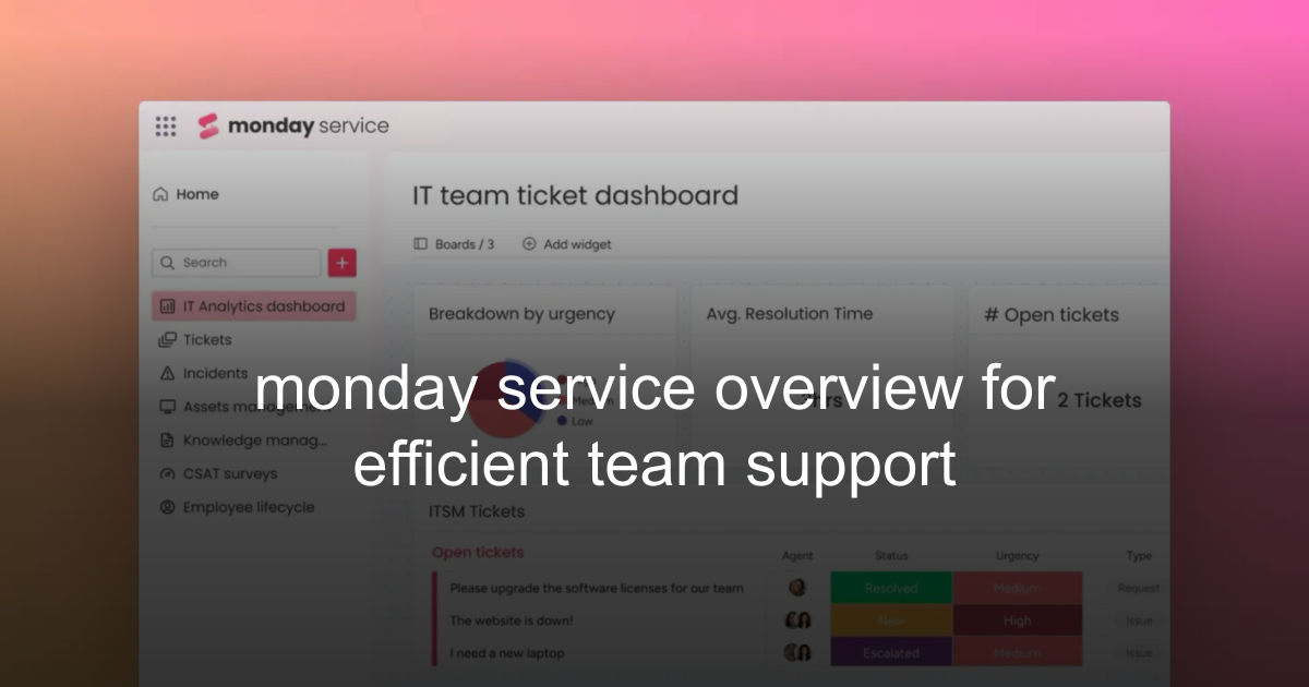 monday service overview for efficient team support