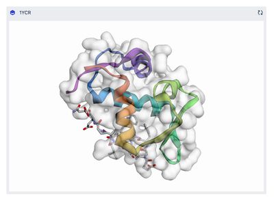 3D rendered output of MDM2 bound to P53 transactivation domain (1YCR) molecular structure