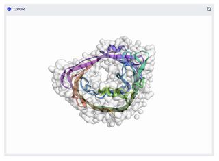 Porin (2POR) 3D molecular structure rendered by the 3D Molecule macro