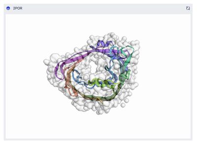 Porin (2POR) 3D molecular structure rendered by the 3D Molecule macro